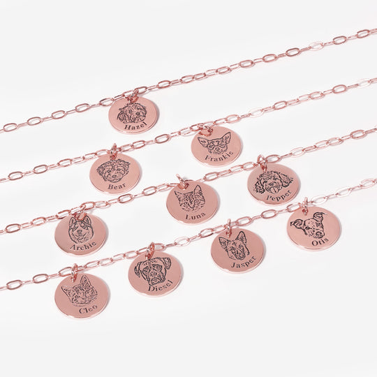 Paperclip Pet Face Necklace