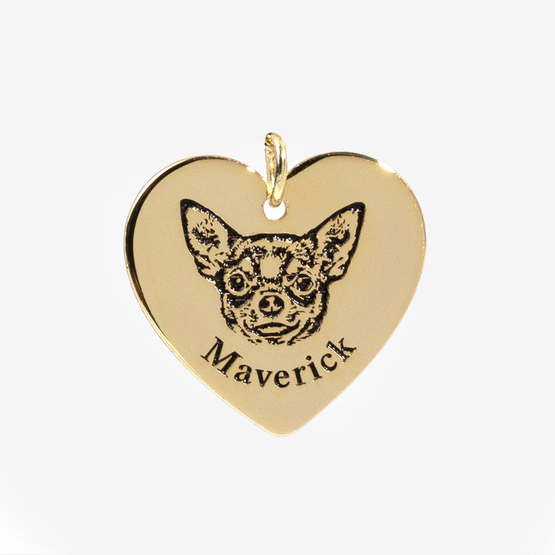 Collar con Cara de Mascota