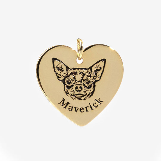 Collar con Cara de Mascota