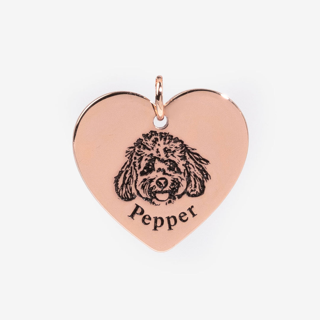 Collar con Cara de Mascota