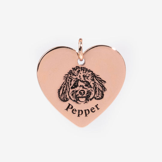 Collar con Cara de Mascota