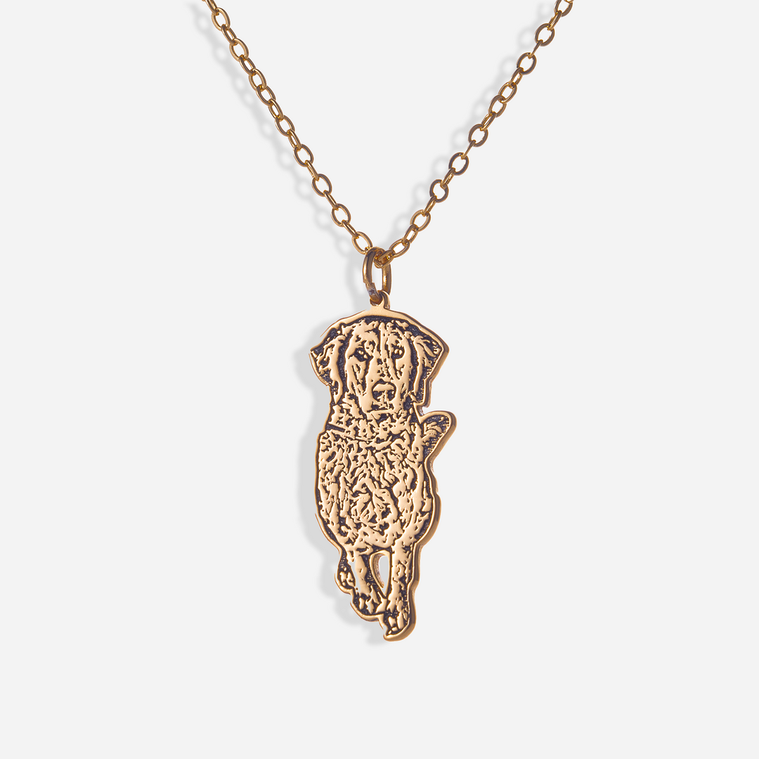 Collar con Silueta de Mascota
