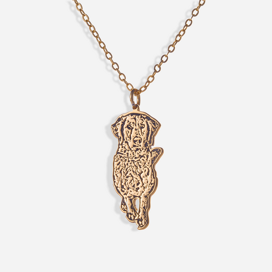 Collar con Silueta de Mascota