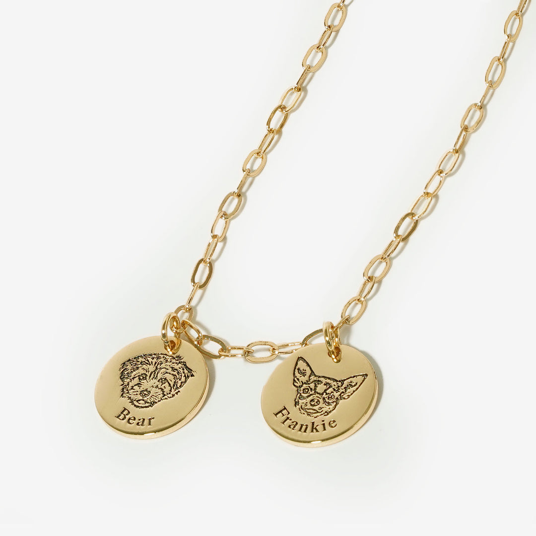 Paperclip Pet Face Necklace