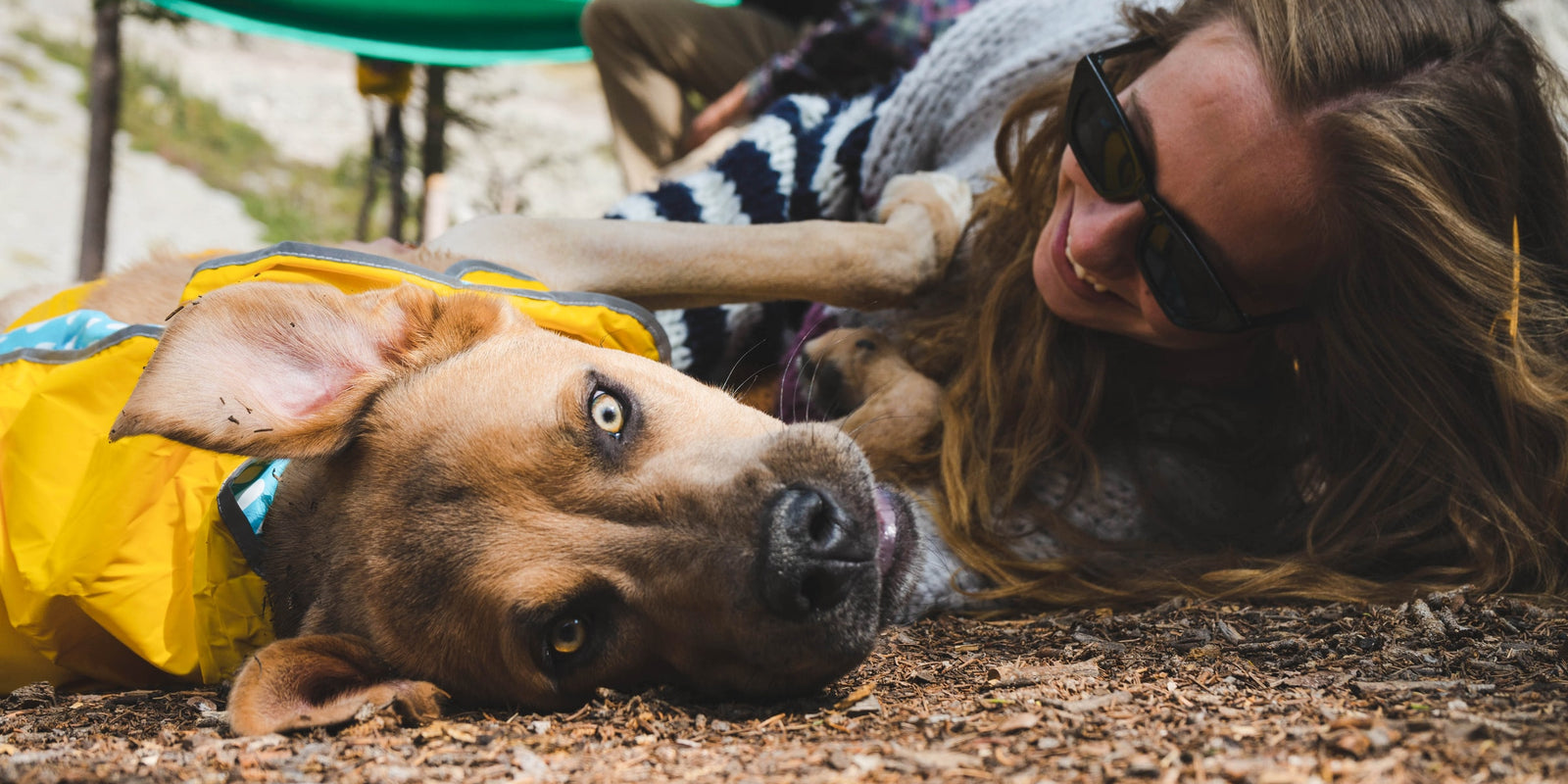 7 Ways Your Dog Makes You A Better Person