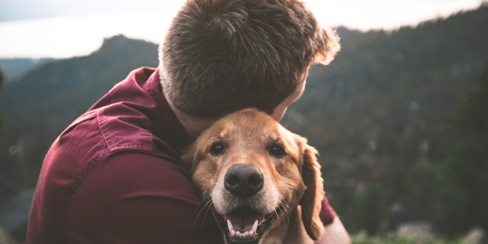 8 Ways To Show Your Dog You Love Them
