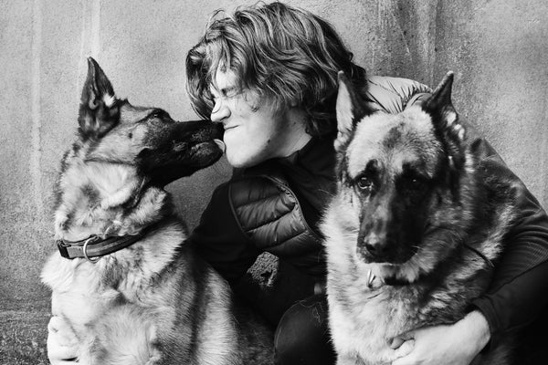 6 Reasons To Hire A Dog Trainer