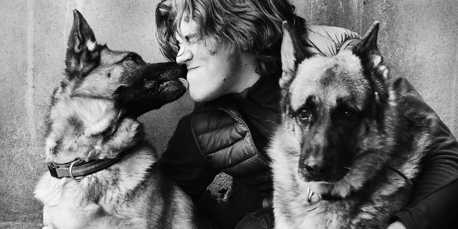 6 Reasons To Hire A Dog Trainer