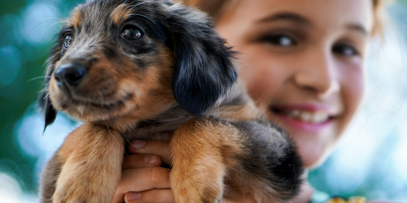 10 Signs That Your Dog Loves You