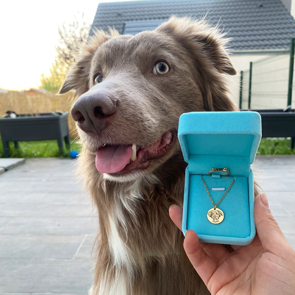 Collar con Cara de Mascota