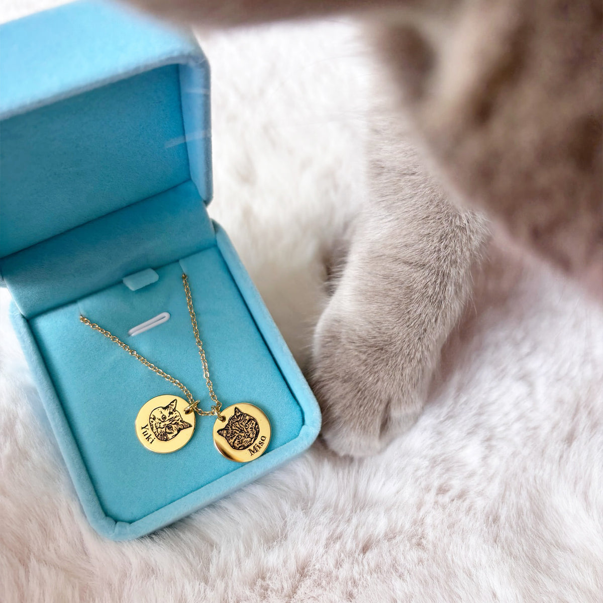 Collar con Cara de Mascota