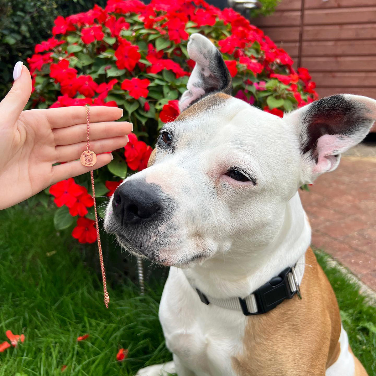 Halskette mit Haustiergesicht