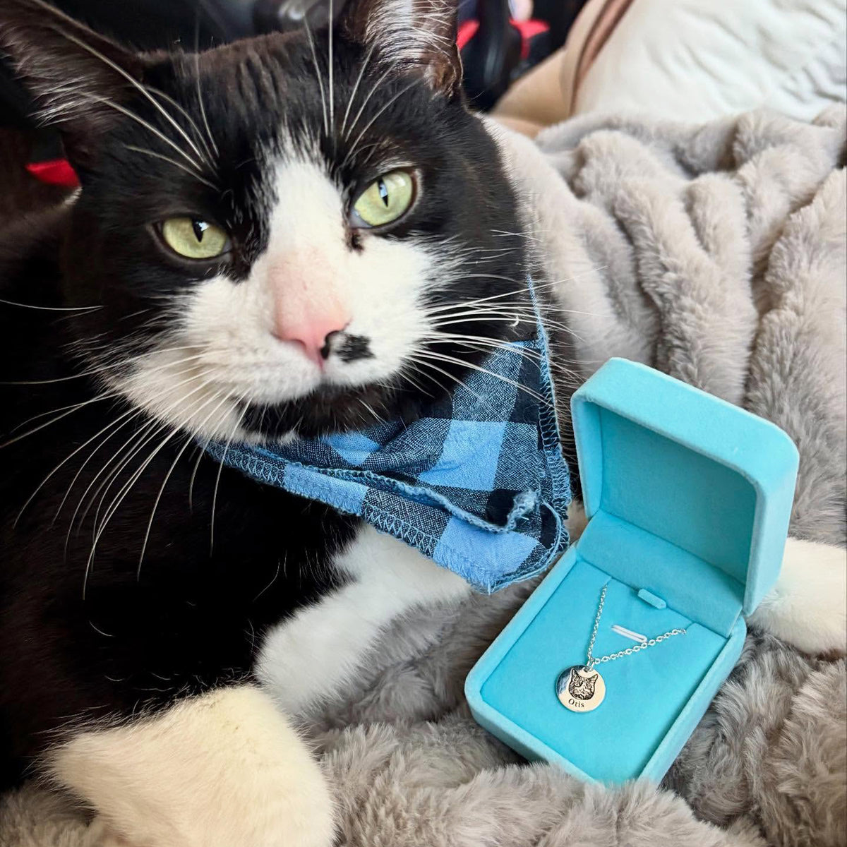 Collar con Cara de Mascota