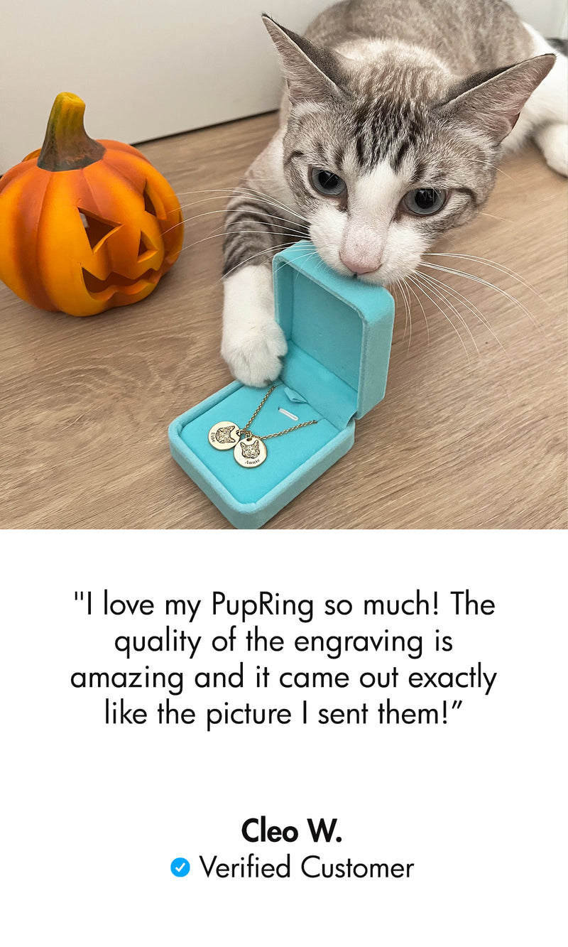 Customer pet photo