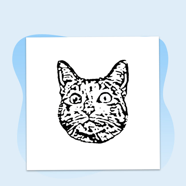 Our Artists Illustrate Your Pet