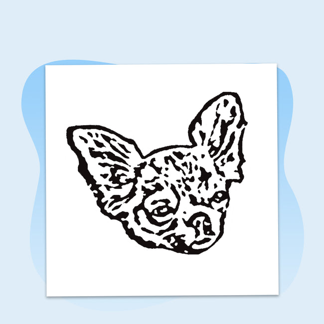 Our Artists Illustrate Your Pet