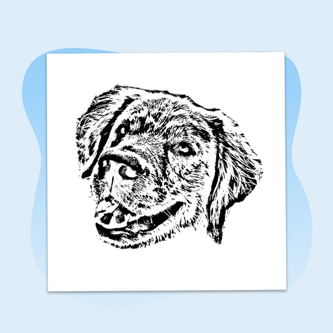 Our Artists Illustrate Your Pet