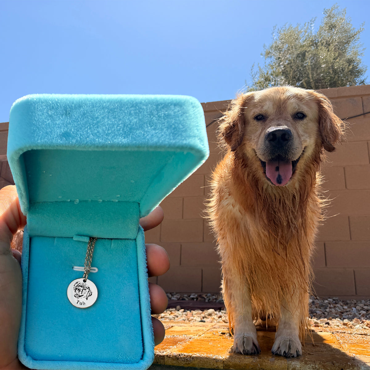 Collar con Cara de Mascota