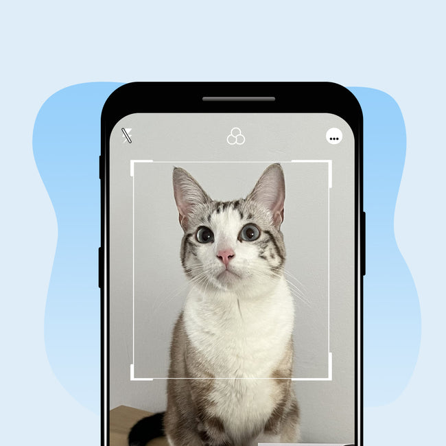 Upload Your Pet's Photo