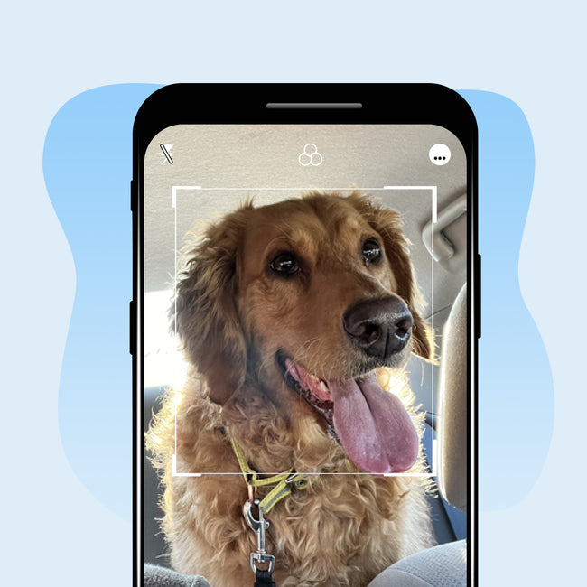 Upload Your Pet's Photo