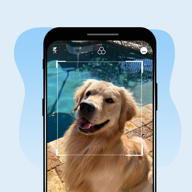 Upload Your Pet's Photo