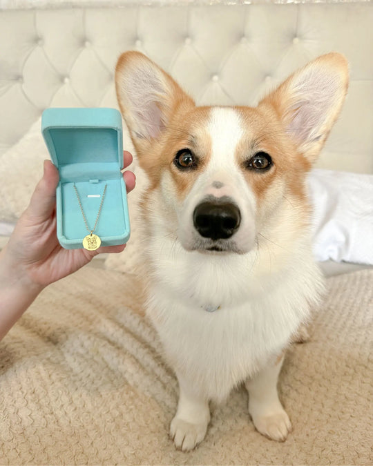Pet Face Necklace (Copy)