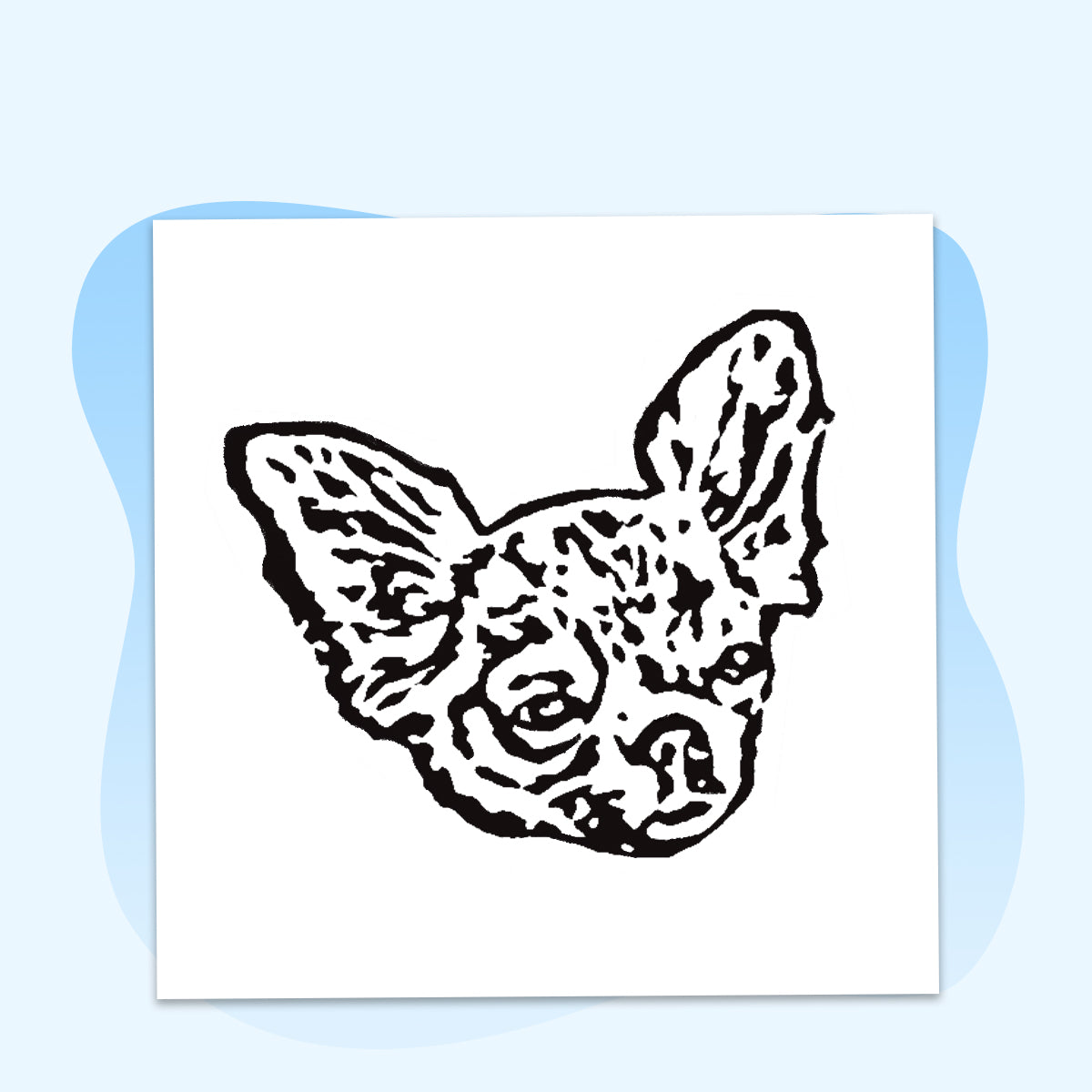Alt image