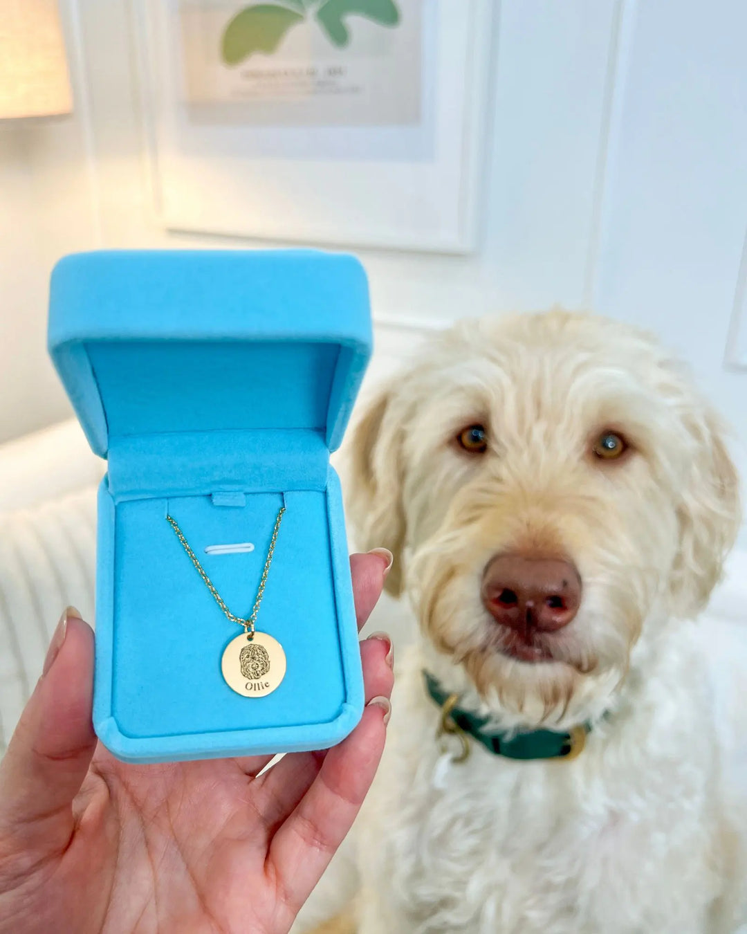 Pet Face Necklace (Copy)