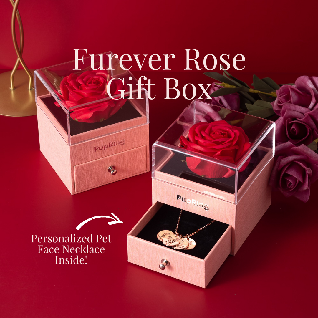 Haustier Gesicht Halskette mit Furever Rose Box