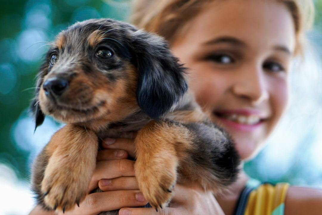 10 señales de que tu perro te quiere