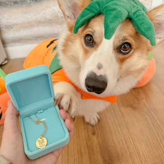 Collar con cara de mascota