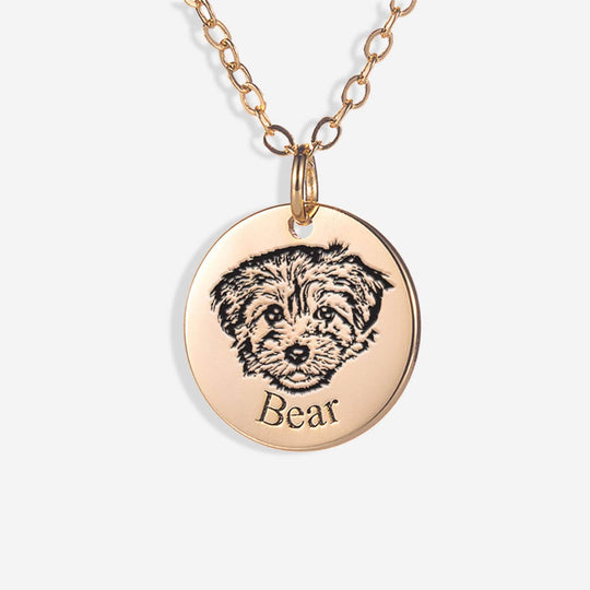 Collar con cara de mascota (nuevo diseño)