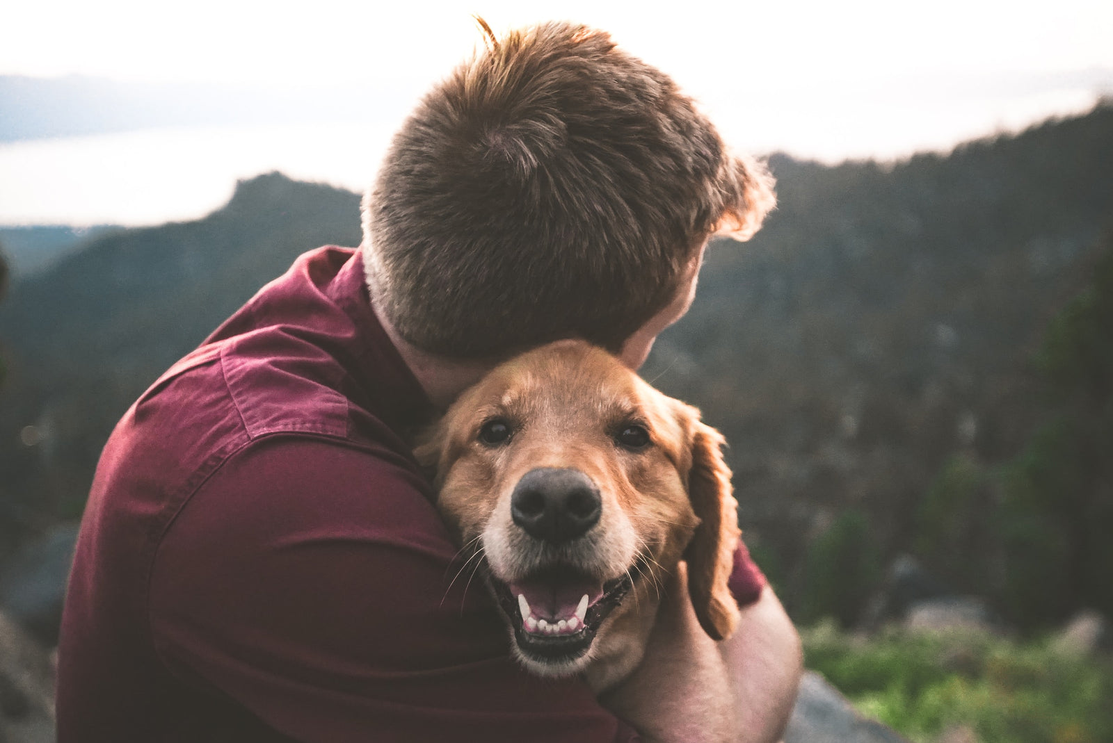 8 façons de montrer à votre chien que vous l'aimez