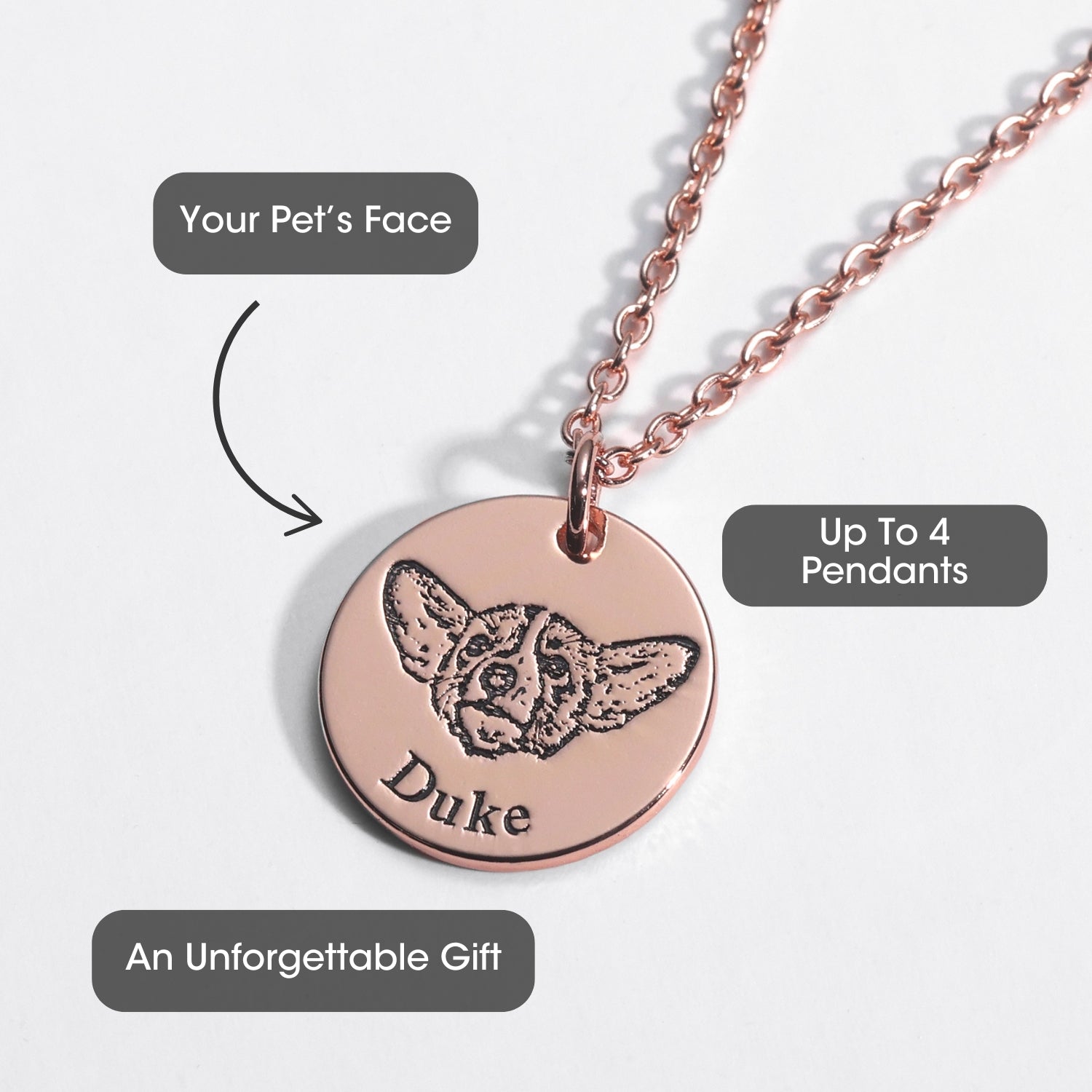 Collier à visage d'animal de compagnie