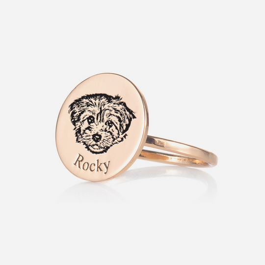 Bague pour visage d'animal de compagnie