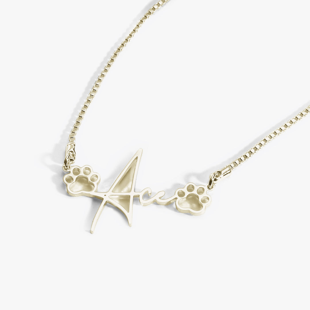 Collier pour le nom de l'animal